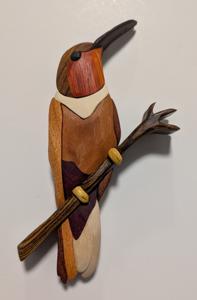 Hummingbird animation